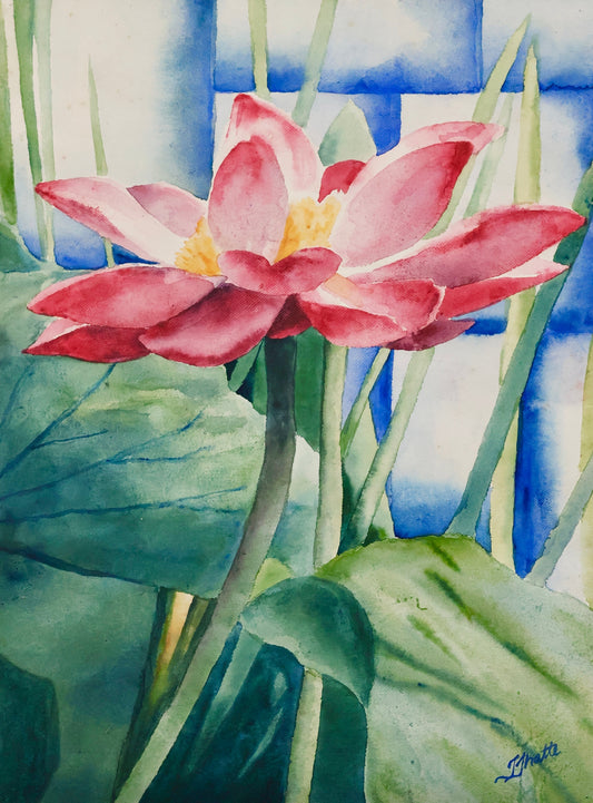Lotus and Water